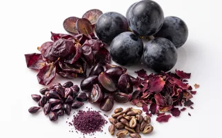 Grapes and grape seed for the grape seed extract in the blend