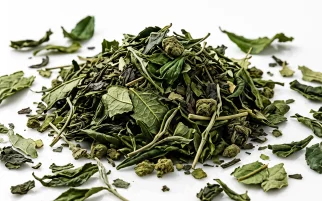 Loose green tea leaves, a polyphenol antioxidant source in the blend
